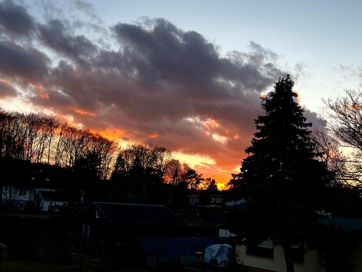 Sunshine * Heringsdorf (Usedom)